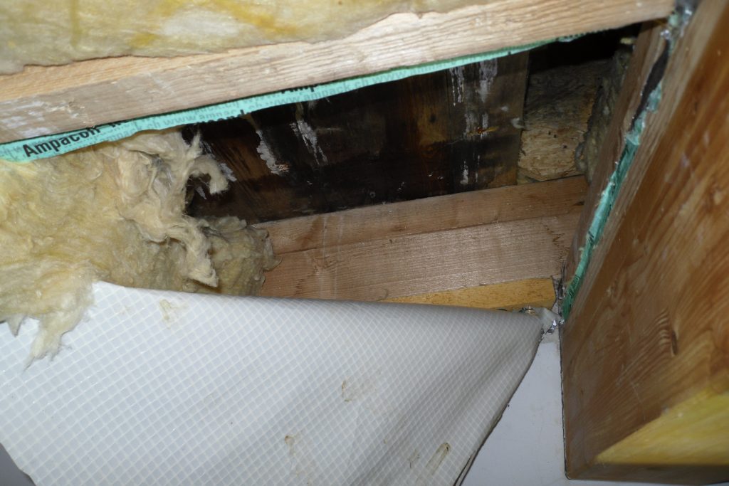 (2) Nach dem Öffnen der Dampfsperrschicht an der Dachunterseite und dem Entfernen des Dämmmaterials zeigt sich dahinter die auf Grund von Tauwasserbildung durchfeuchtete Holz-schalung